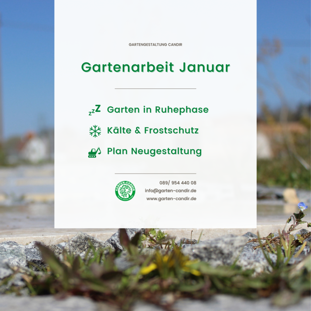 Gartenbau München - Gartengestaltung Candir - Gartentipps Januar