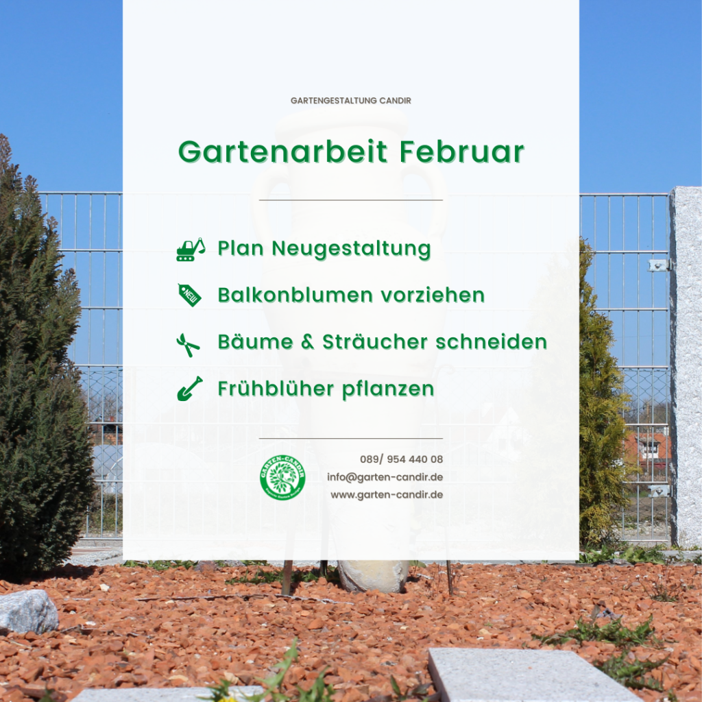 Gartenbau München - Gartengestaltung Candir - Gartentipps Februar