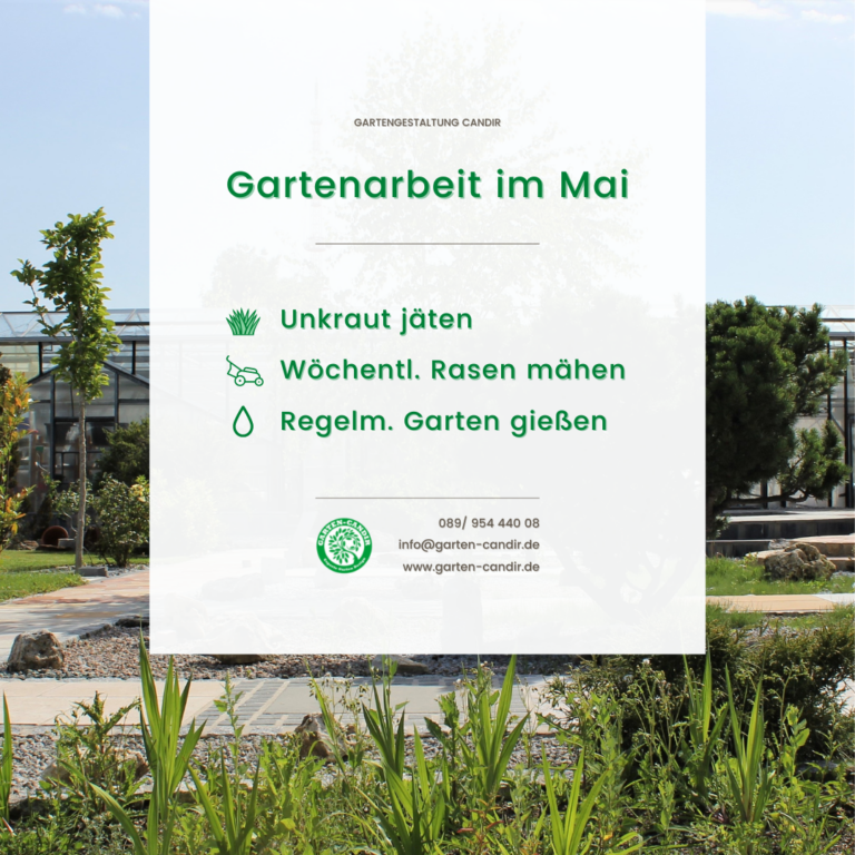 Gartenbau München - Gartengestaltung Candir - Gartentipps Mai