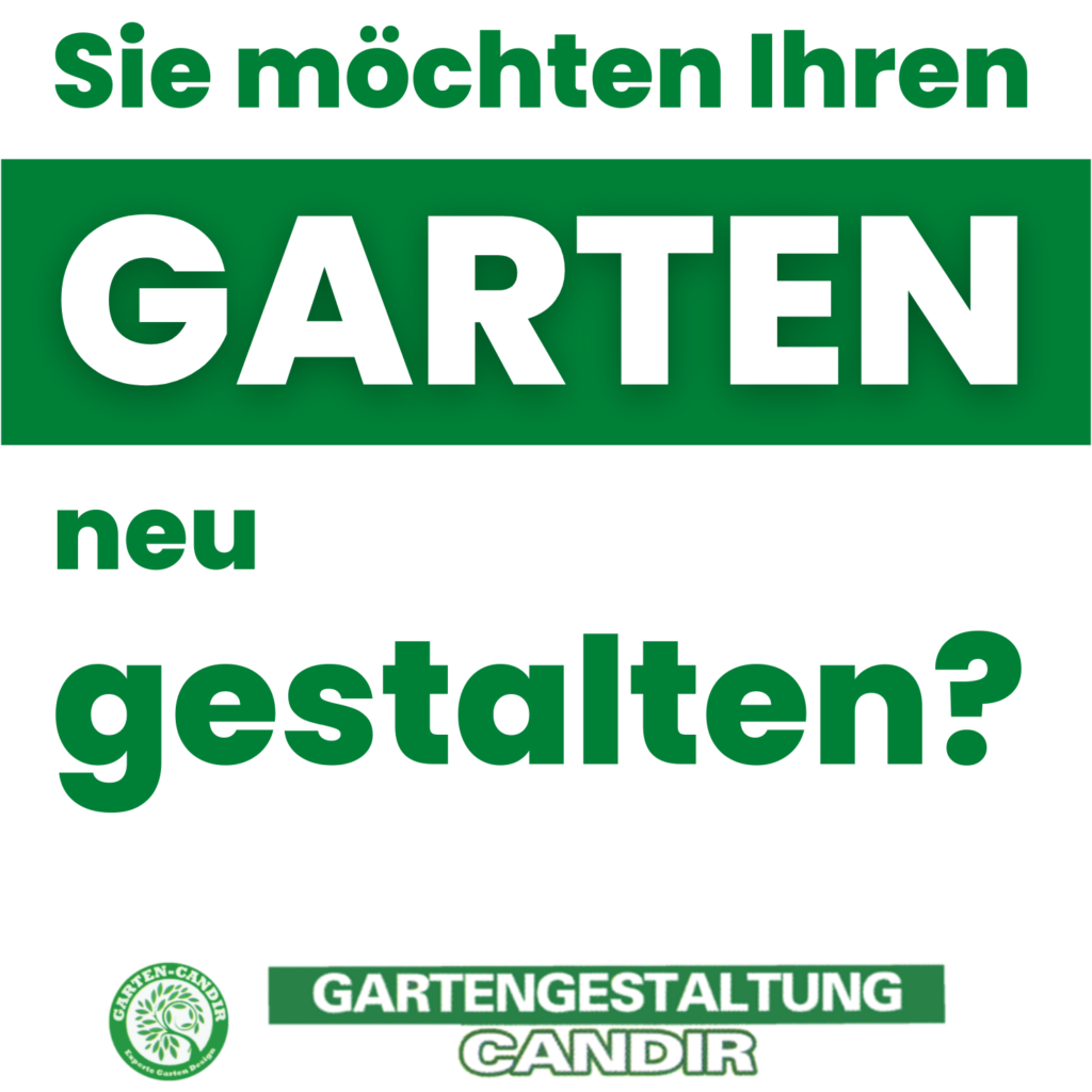 Gartengestaltung Candir - Gartenbau in München 1